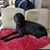 Sheila Newcome Adams's profile image