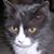 Jane Cubelli's profile image