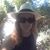 Henriette Sterregaard's profile image