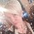 Mary Craig's profile image