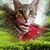 Theresia C. Hull's profile image