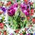 Eileen E. Gallo's profile image