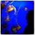 Ned Raggett's profile image