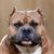 William Chapman's profile image
