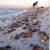 Tina Louise's profile image