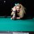 Teresa Smith's profile image