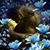 Kery Eller's profile image
