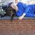 Denniz Bouwman's profile image