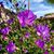 Rita Berryman Hughes's profile image