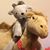 Tasha Cooper's profile image