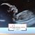 Brandy Kestner Reed's profile image