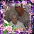 Donna Santini's profile image