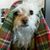 Tim Johnson's profile image