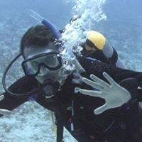 Mark Feriante's profile image