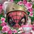Jonathan Judd's profile image