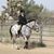 Debby Padget's profile image
