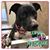 Stacey Jones's profile image