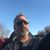 Paul Clements's profile image
