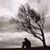 Cassandra Harris-Ellis Allen's profile image