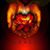 Kim Mazzuca's profile image