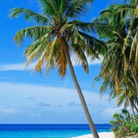 Debbie Comes's profile image