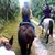 Nicole Smyer Griffin's profile image