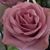 Pat Neal's profile image