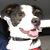 Bess Lockhart Dierolf's profile image