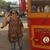 Marilyn Kay's profile image