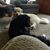 Holly Kaleta's profile image