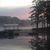 Darlene Gasbarra Ransom's profile image