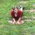 Tracy Schwickrath-Wrigley's profile image