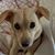 Katie Starnes Berry's profile image