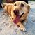 Cyndi Thompson Beamon's profile image