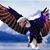 Matt Herschbach's profile image