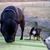 Ta Neil Adams's profile image