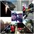 Jose Luis Calva Cortes's profile image