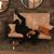 Tamara Nelson's profile image