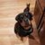 Jacque Campbell's profile image