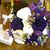 Pamela D Beall's profile image