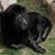 Devron IgotwutchuNeed Cooper's profile image