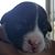 Angela Rene Rittman-Johnson's profile image