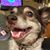 Jesse Schaa's profile image