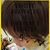 Tammy Burris's profile image