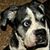 Alex Olmo Pedrero's profile image