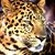 Landrick Traylor's profile image