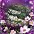 Lynne Steinhour Habig's profile image