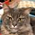 Vicki McConnell Stuart's profile image