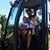 Tony Gambaro's profile image
