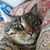 Susan Potter's profile image